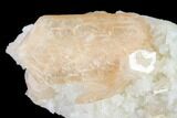 Peach Stilbite Crystal Cluster on Quartz - India #153187-2